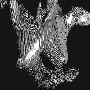 Self preserved while the bodies float up